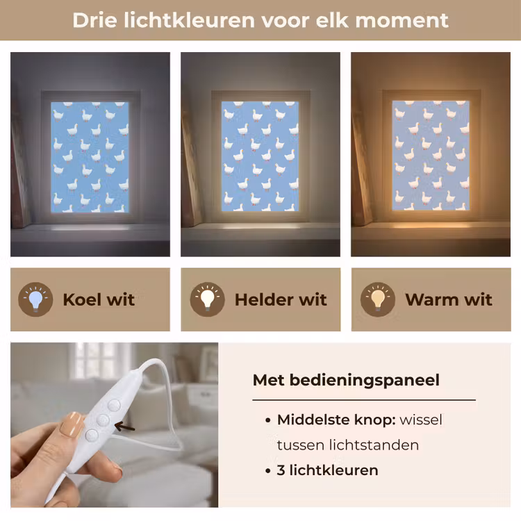 Ganzen - Elegant - Blauw Light Box met kabel (Tafellamp) klein 925 -USP_lichtkleurNL