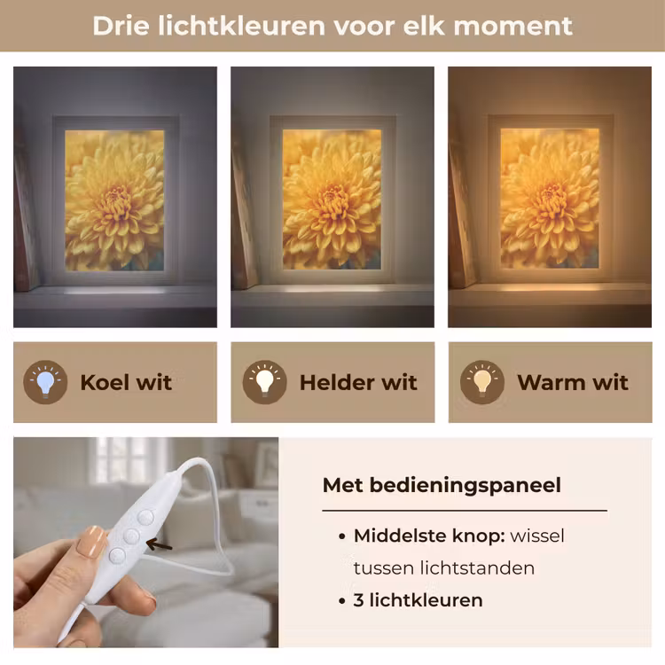 Geel - Chrysant - Zachtheid Light Box met kabel (Tafellamp) klein -USP_lichtkleurNL