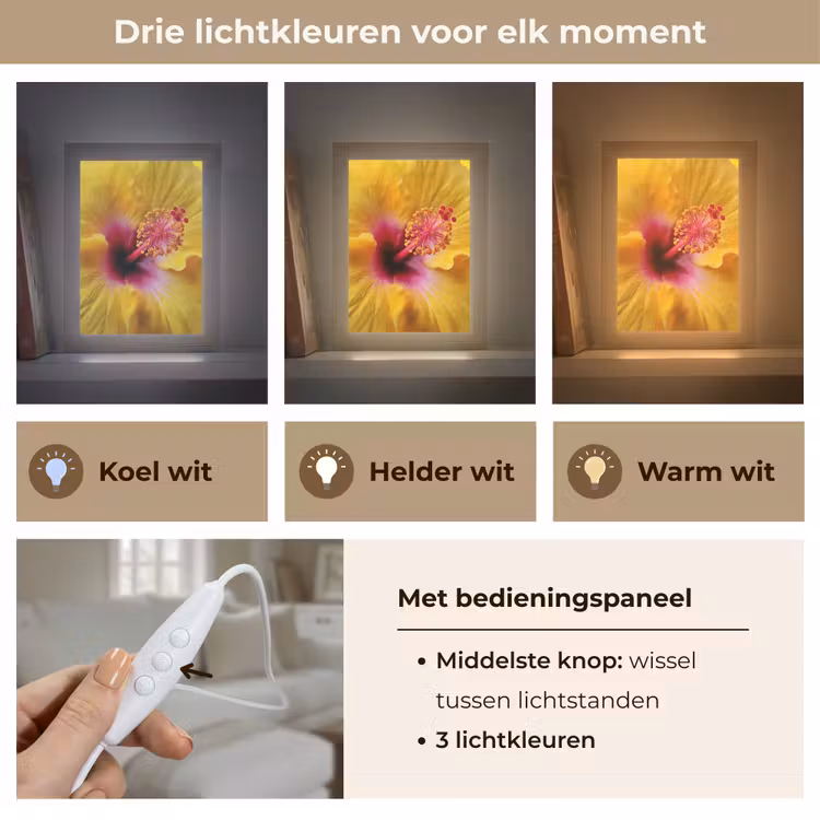 Geel - Hibiscus - Tropisch Light Box met kabel (Tafellamp) klein -USP_lichtkleurNL