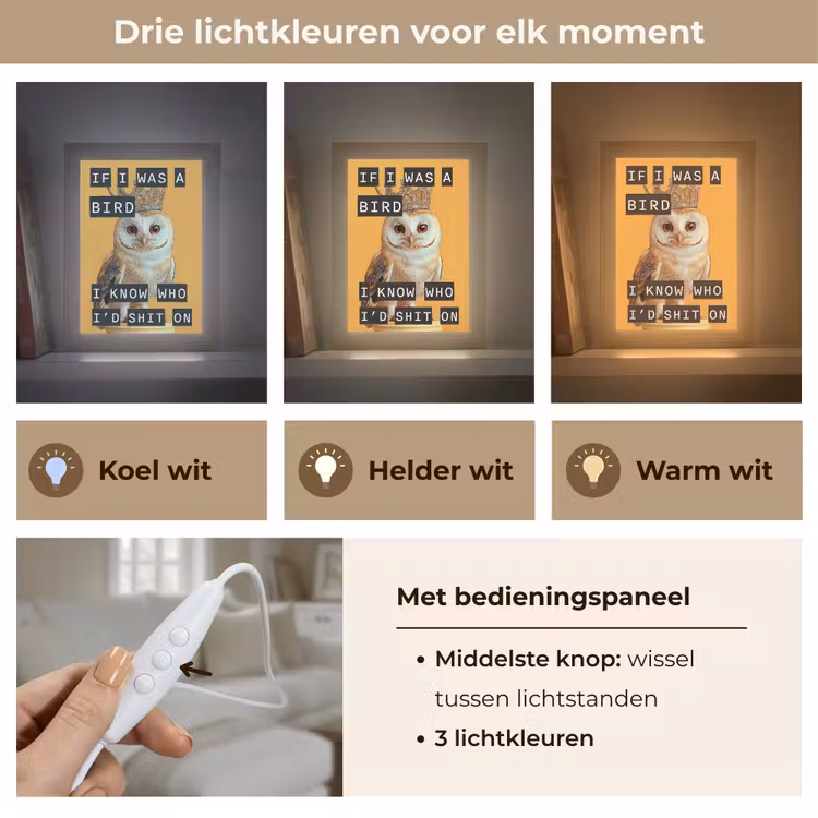 Geel - Uil - Vogel - Decoratie Light Box met kabel (Tafellamp) klein -USP_lichtkleurNL