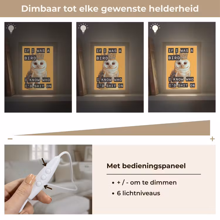 Geel - Uil - Vogel - Decoratie Light Box met kabel (Tafellamp) klein -USP_dimbaarNL