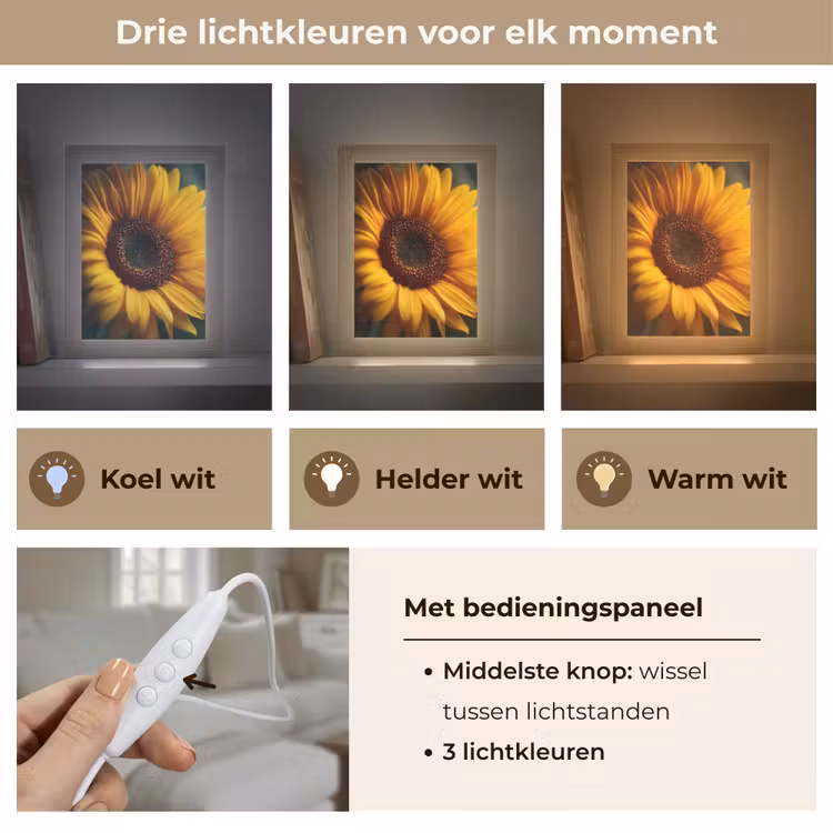 Geel - Zonnebloem - Zomers Light Box met kabel (Tafellamp) klein -USP_lichtkleurNL