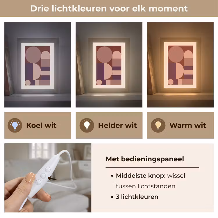 Geometrisch - Cirkels - Rood Light Box met kabel (Tafellamp) klein -USP_lichtkleurNL