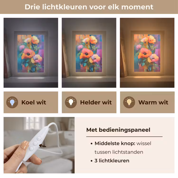 Geometrische kleurvlaken - Modern - Fantasiebloemen Light Box met kabel (Tafellamp) klein -USP_lichtkleurNL