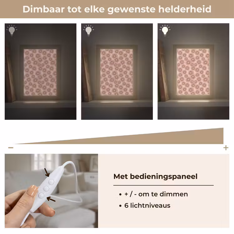 Gerbera - Bloemen - Roze Light Box met kabel (Tafellamp) klein 925 -USP_dimbaarNL