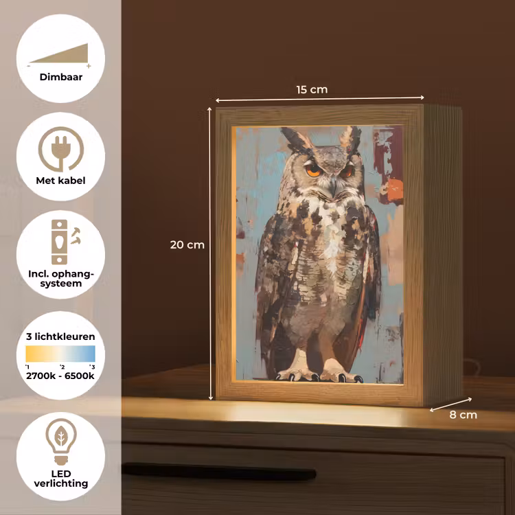 Geschilderd - Abstract - Uil - Bruin Light Box met kabel (Tafellamp) klein -USP_NL