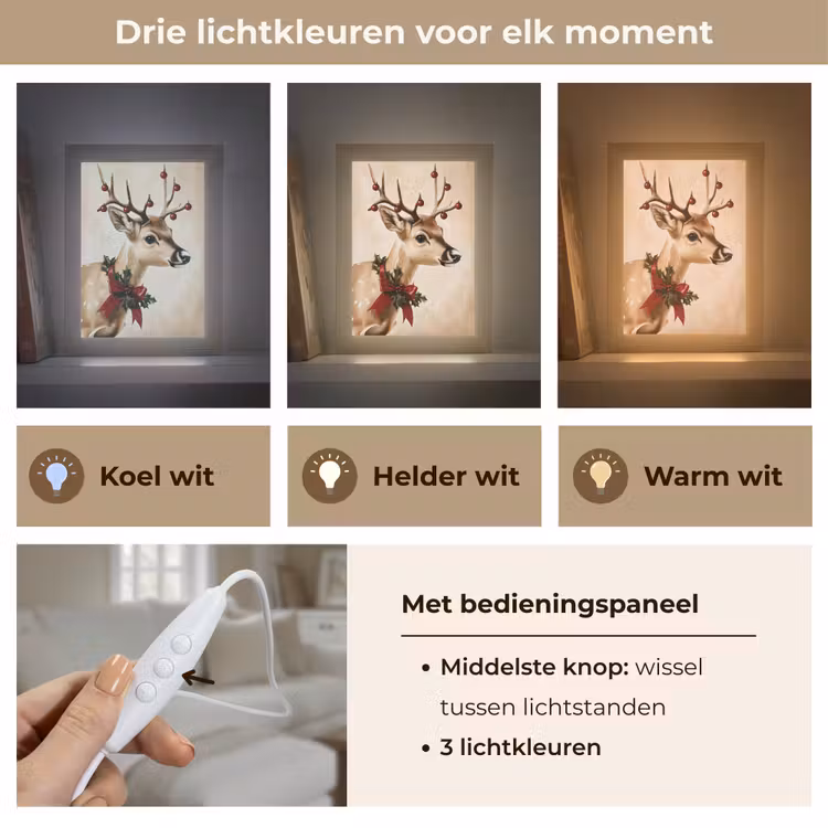Gewei - Kerst - Rendier - Rood Light Box met kabel (Tafellamp) klein -USP_lichtkleurNL