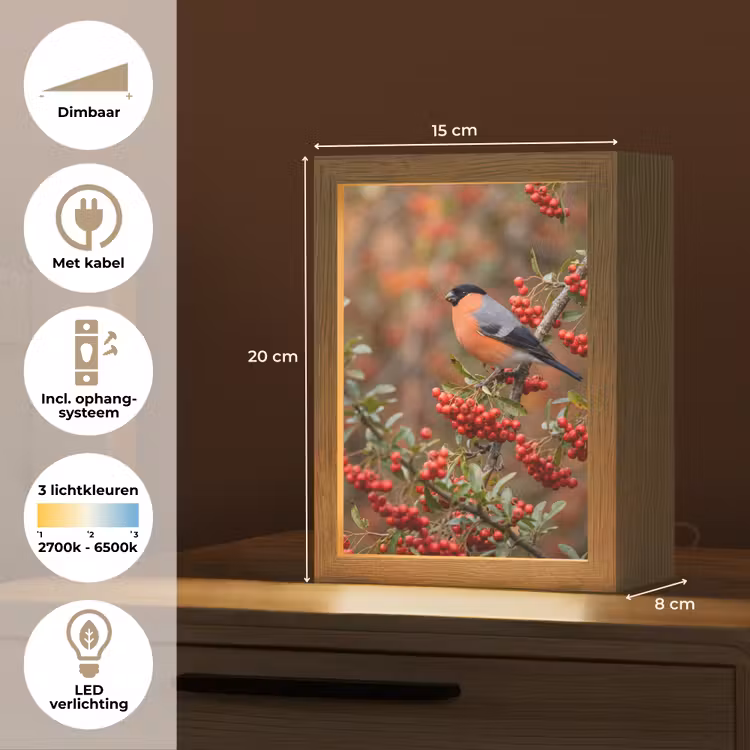 Goudvink - Bessen - Herfst - Natuur - Kleurrijk Light Box met kabel (Tafellamp) klein -USP_NL