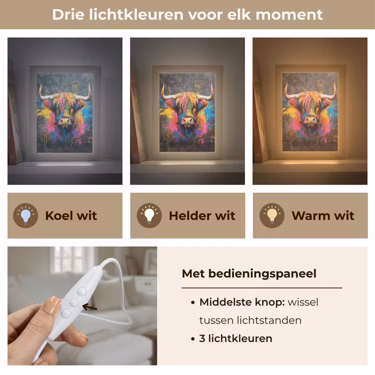 Graffiti - Schotse hooglander - Koe - Kleurrijk Light Box met kabel (Tafellamp) klein -USP_lichtkleurNL