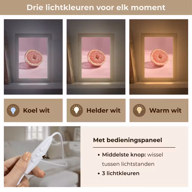 Grapefruit - Roze - Disco - Shiny Light Box met kabel (Tafellamp) klein -USP_lichtkleurNL