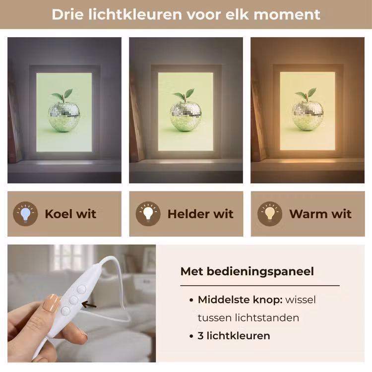 Groen - Disco - Decoratie - Appel Light Box met kabel (Tafellamp) klein -USP_lichtkleurNL