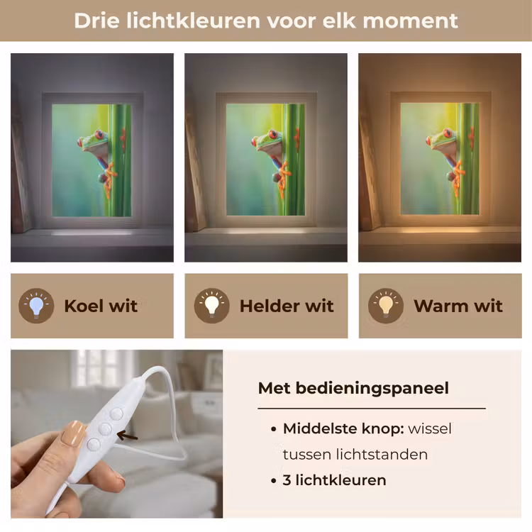 Groene kikker - Nieuwsgierig - Gras Light Box met kabel (Tafellamp) klein -USP_lichtkleurNL