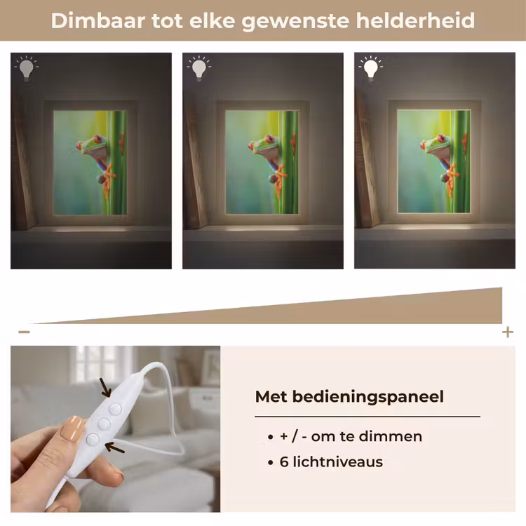Groene kikker - Nieuwsgierig - Gras Light Box met kabel (Tafellamp) klein -USP_dimbaarNL