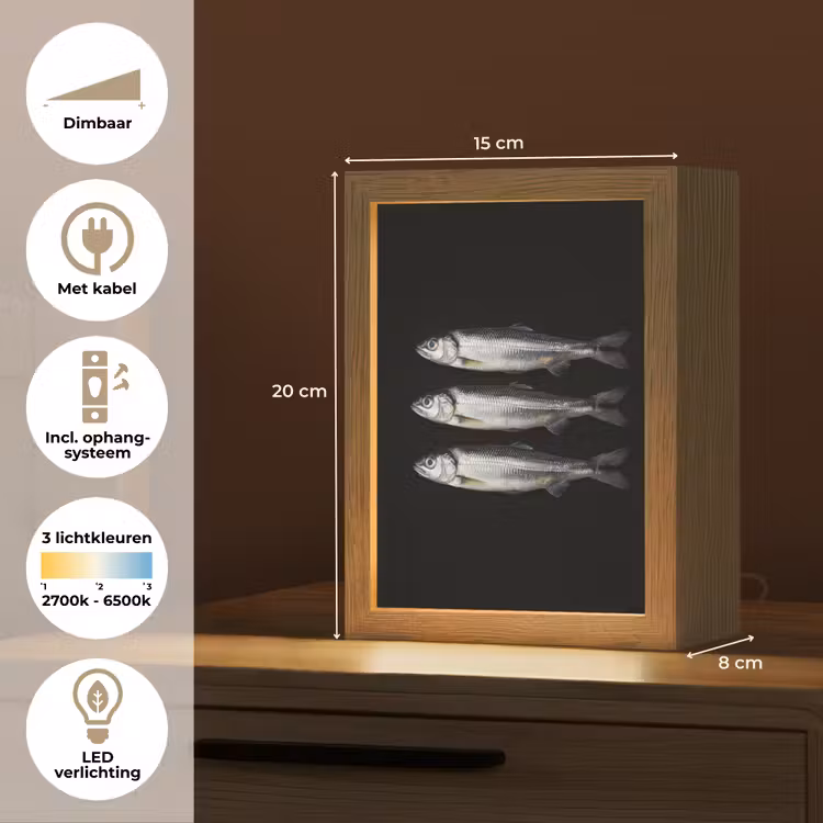 Haring - Vissen - Zwart Light Box met kabel (Tafellamp) klein -USP_NL