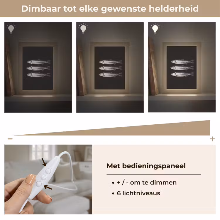 Haring - Vissen - Zwart Light Box met kabel (Tafellamp) klein -USP_dimbaarNL