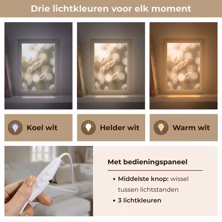 Hazestaartgras - Wit - Zonlicht Light Box met kabel (Tafellamp) klein -USP_lichtkleurNL