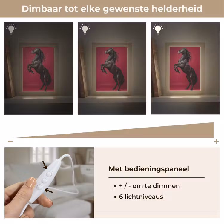 Hengst - Steigert - Rood Light Box met kabel (Tafellamp) klein -USP_dimbaarNL
