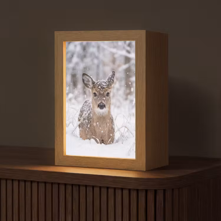 Hert - Sneeuw - Bos - Dieren - Vertederend Light Box met kabel (Tafellamp) klein -z3d_website