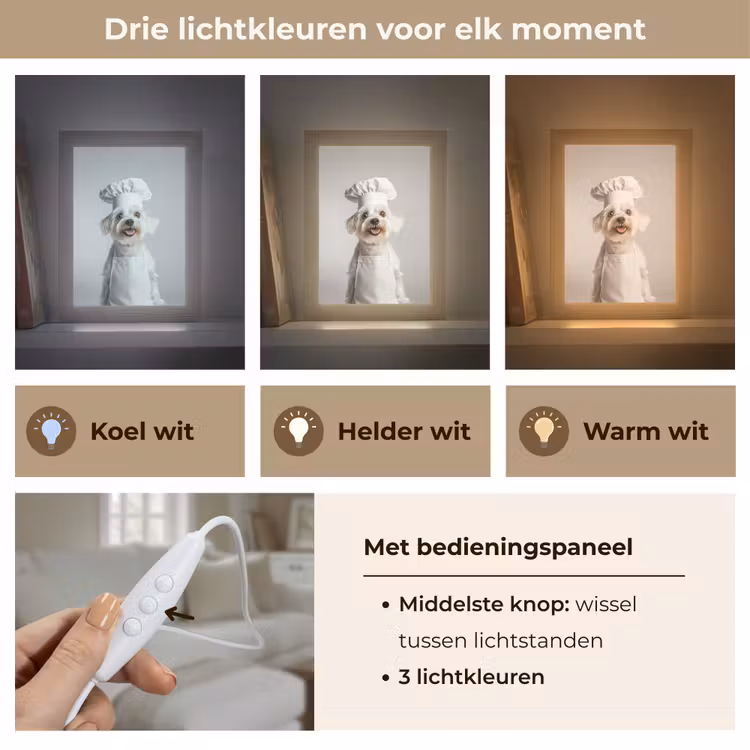 Hond - Wit - Kok Light Box met kabel (Tafellamp) klein -USP_lichtkleurNL