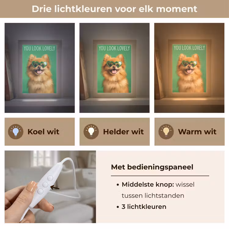 Hond - Zonnebril - Valentijn - Love Light Box met kabel (Tafellamp) klein -USP_lichtkleurNL