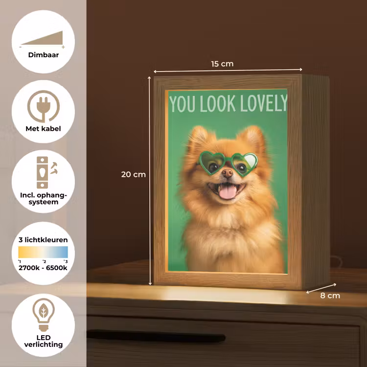 Hond - Zonnebril - Valentijn - Love Light Box met kabel (Tafellamp) klein -USP_NL