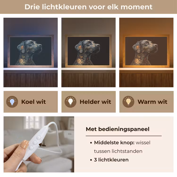 Hond - Zwart - Bloemen Light Box met kabel (Tafellamp) klein -USP_lichtkleurNL