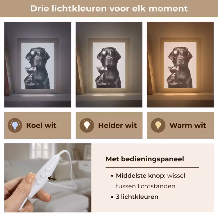 Hond - Zwart - Wijnglas - Zonnebril Light Box met kabel (Tafellamp) klein -USP_lichtkleurNL