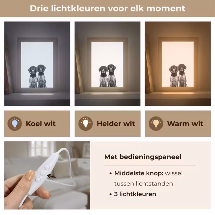 Honden - Bivakmuts - Zwart - wit Light Box met kabel (Tafellamp) klein -USP_lichtkleurNL