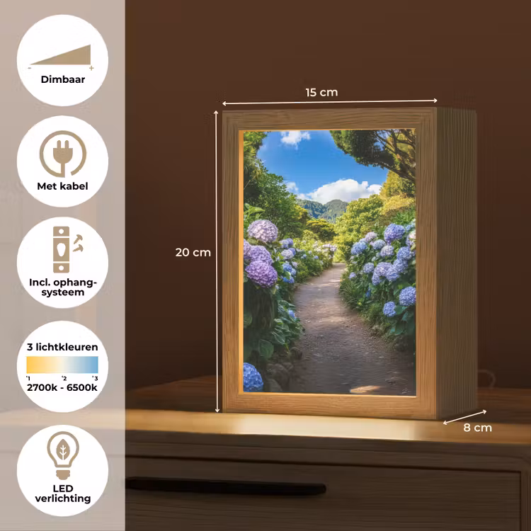 Hortsensia - Pad - Bloemen Light Box met kabel (Tafellamp) klein -USP_NL