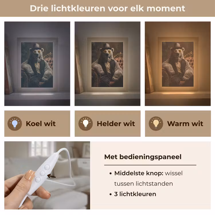Ijsbeer - Hoed - Bril - Stoel Light Box met kabel (Tafellamp) klein -USP_lichtkleurNL