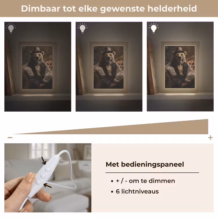 Ijsbeer - Hoed - Bril - Stoel Light Box met kabel (Tafellamp) klein -USP_dimbaarNL