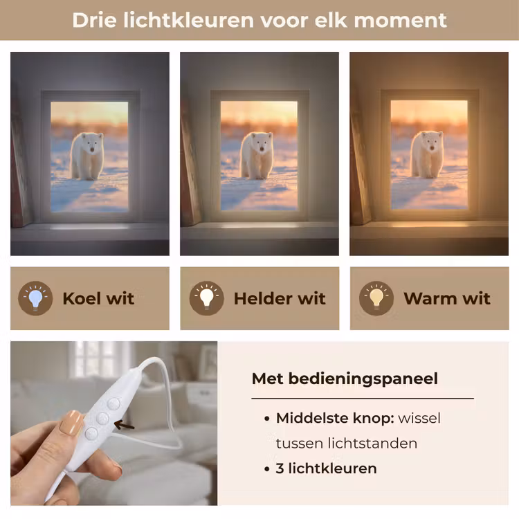 Ijsbeer - Sneeuw - Zonsopgang Light Box met kabel (Tafellamp) klein -USP_lichtkleurNL
