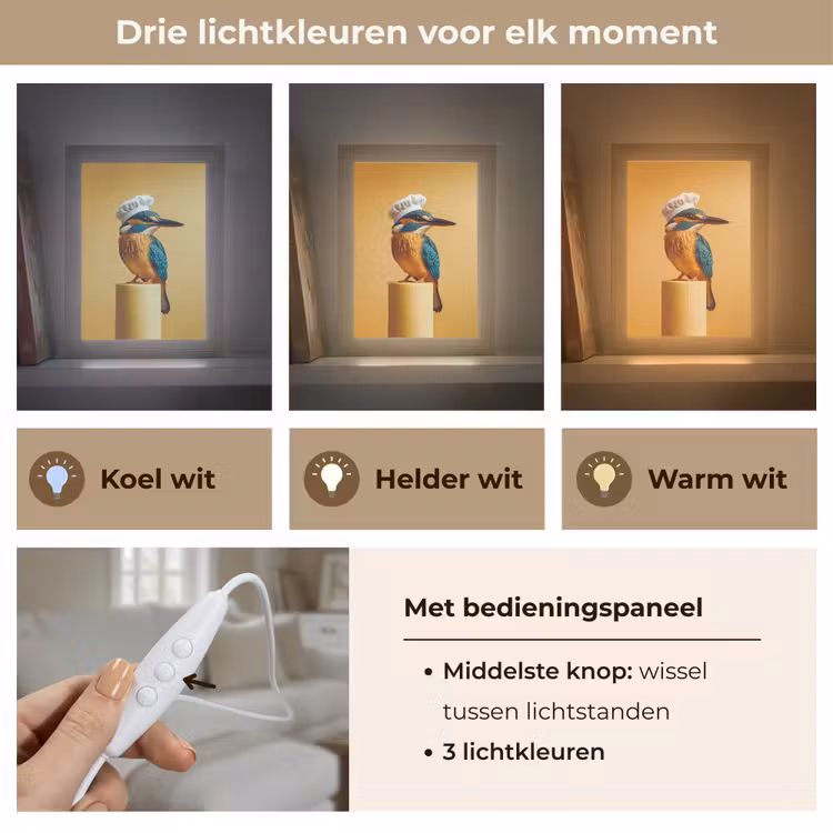 Ijsvogel - Pilaar - Koksmuts - Vogel Light Box met kabel (Tafellamp) klein -USP_lichtkleurNL