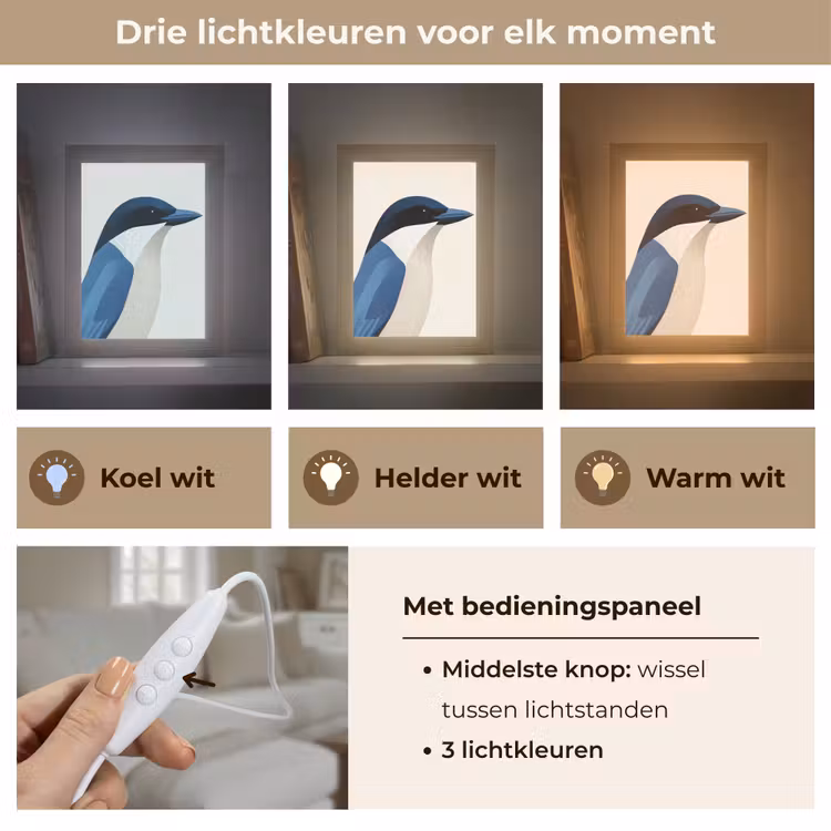 Illustratie - Blauw - Vogel Light Box met kabel (Tafellamp) klein -USP_lichtkleurNL