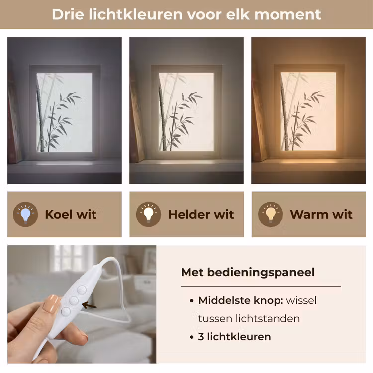 Japandi - Bamboe - Beige Light Box met kabel (Tafellamp) klein -USP_lichtkleurNL