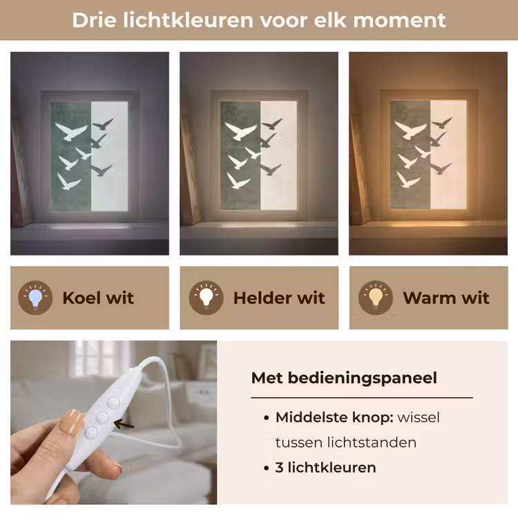 Japandi - Vogel - Groen Light Box met kabel (Tafellamp) klein -USP_lichtkleurNL