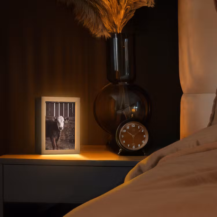 Kalf - Oormerk - Houten stal Light Box met kabel (Tafellamp) klein -sfeer1