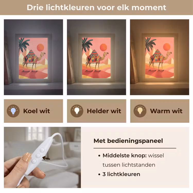 Kameel - Pyramides - Rode zon Light Box met kabel (Tafellamp) klein -USP_lichtkleurNL