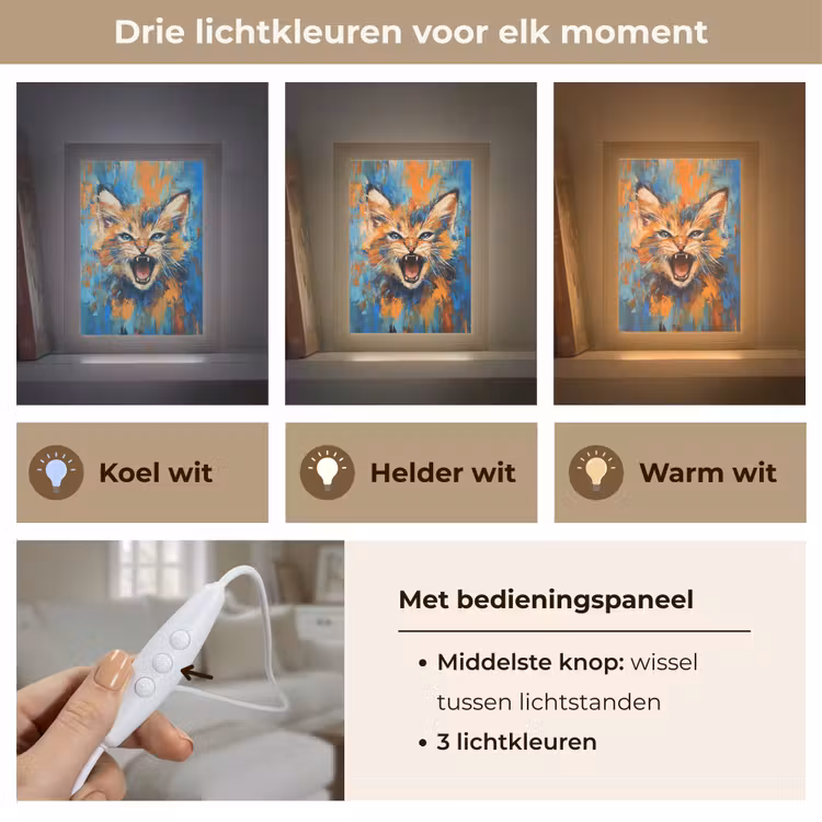 Kat - Kleurrijk - Oranje - Blauw Light Box met kabel (Tafellamp) klein -USP_lichtkleurNL
