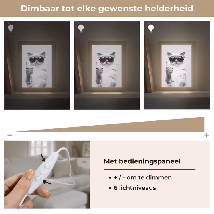 Kat - Zonnebril - Wijnglas - Langharig Light Box met kabel (Tafellamp) klein -USP_dimbaarNL
