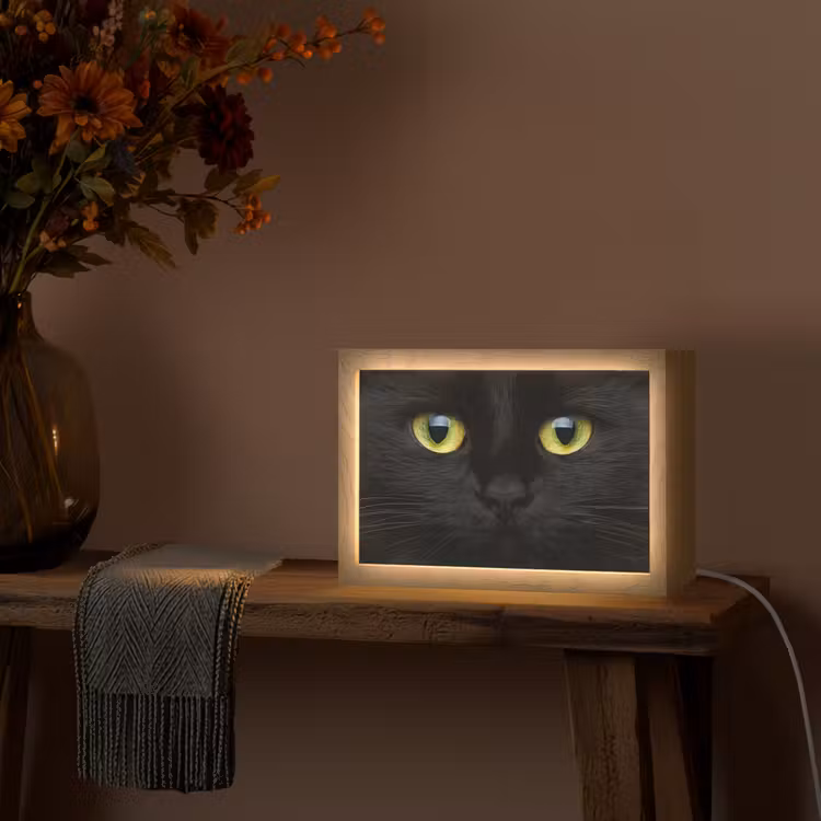 Kat - Zwart - Dieren - Natuur Light Box met kabel (Tafellamp) klein -sfeer4