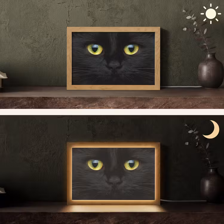 Kat - Zwart - Dieren - Natuur Light Box met kabel (Tafellamp) klein -sfeer3