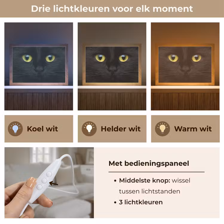 Kat - Zwart - Dieren - Natuur Light Box met kabel (Tafellamp) klein -USP_lichtkleurNL
