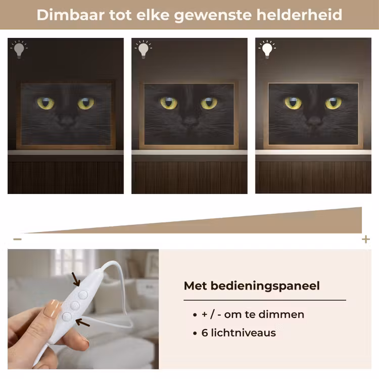 Kat - Zwart - Dieren - Natuur Light Box met kabel (Tafellamp) klein -USP_dimbaarNL