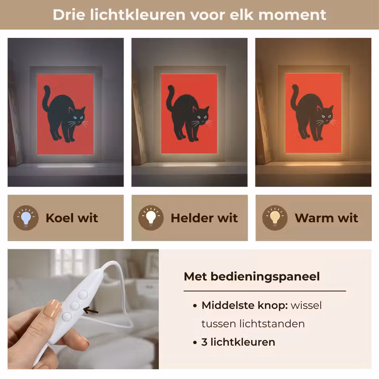 Kat - Zwart - Staart Light Box met kabel (Tafellamp) klein -USP_lichtkleurNL