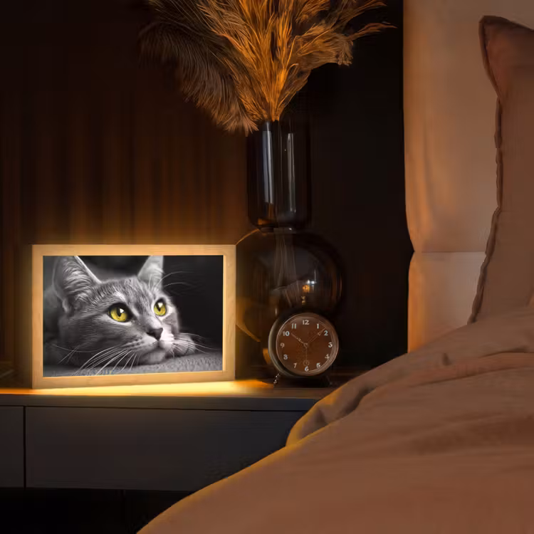 Kat - Zwart - Wit - Dieren - Natuur Light Box met kabel (Tafellamp) klein -sfeer1