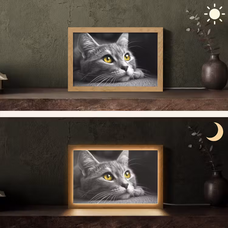 Kat - Zwart - Wit - Dieren - Natuur Light Box met kabel (Tafellamp) klein -sfeer3