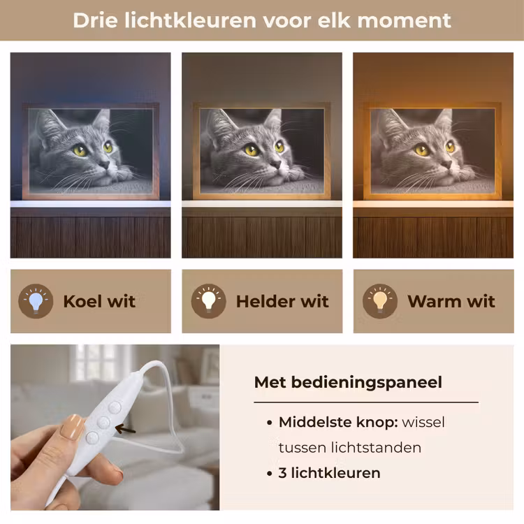Kat - Zwart - Wit - Dieren - Natuur Light Box met kabel (Tafellamp) klein -USP_lichtkleurNL