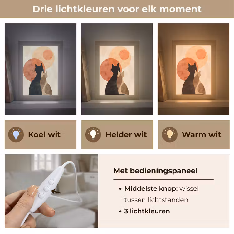 Katten - Zwart - Abstract - Cirkels Light Box met kabel (Tafellamp) klein -USP_lichtkleurNL