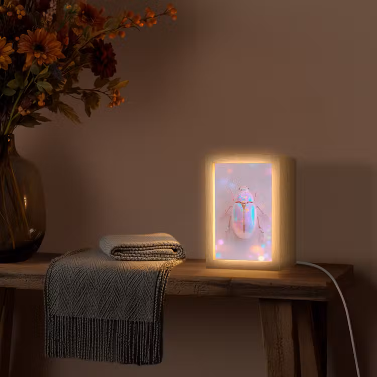 Kever - Metallic - Lichteffect - Roze Light Box met kabel (Tafellamp) klein -sfeer4